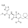 Cefepime