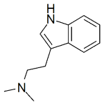 Dimethyltryptamine (DMT)