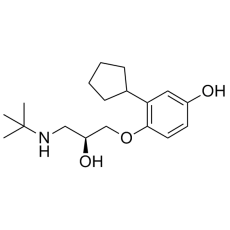 Hydroxy Penbutolol