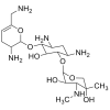 Sisomicin Free Base