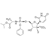 Sofosbuvir labeled 13Cd3